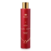 GREYMY ZOOM COLOR SHAMPOO