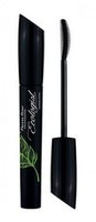PIERRE RENE MASCARA LASH ECOLOGIST